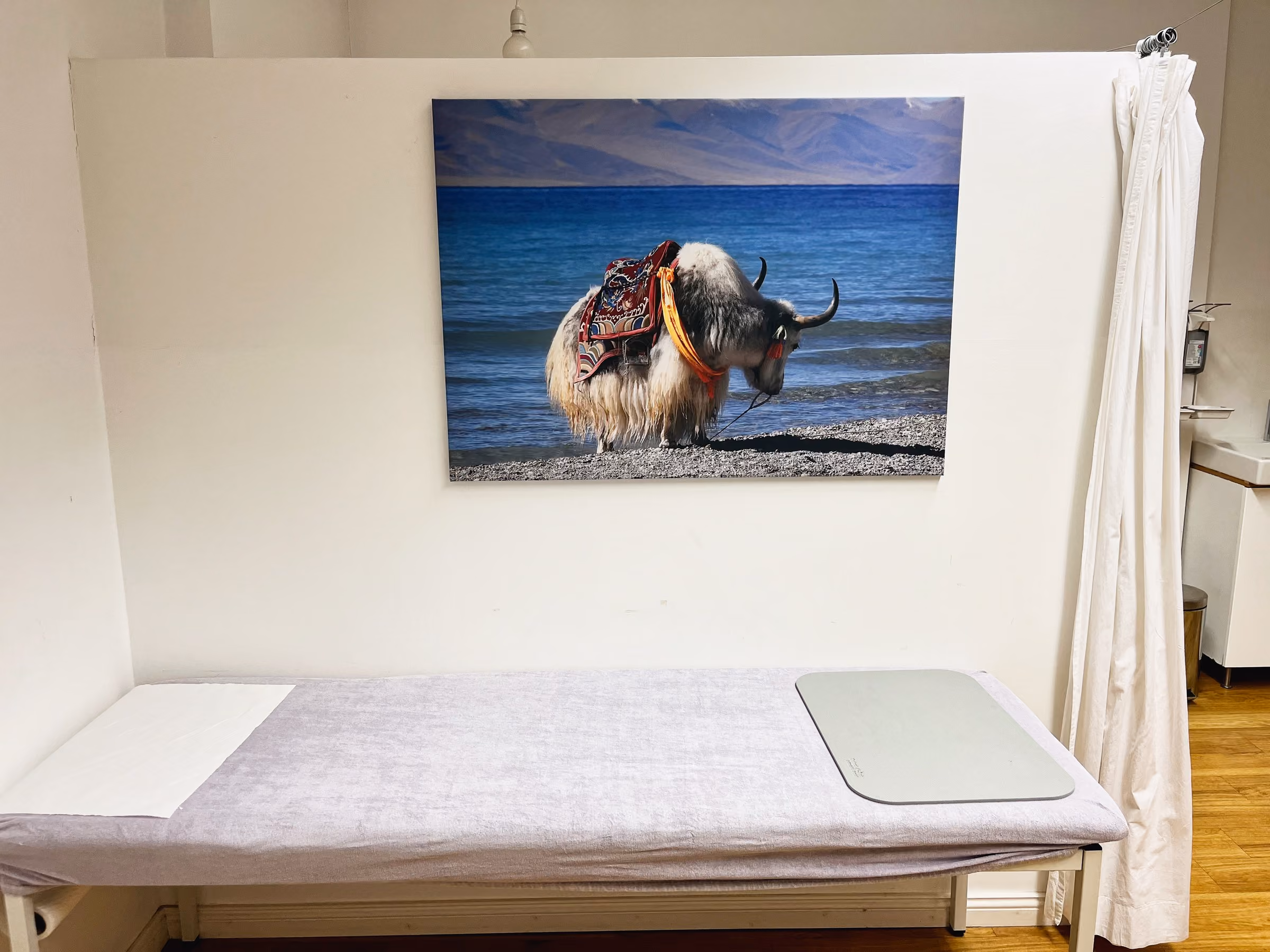 Behandlungsraum, an der Wand ein Yak